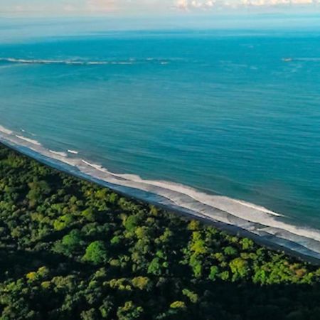 Casita El Sonido De Las Aves Uvita Eksteriør bilde